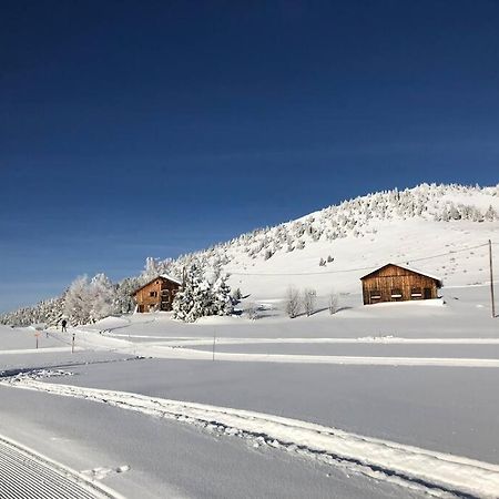 Appartement Au Pays Du Mont-Blanc Саланш Екстериор снимка