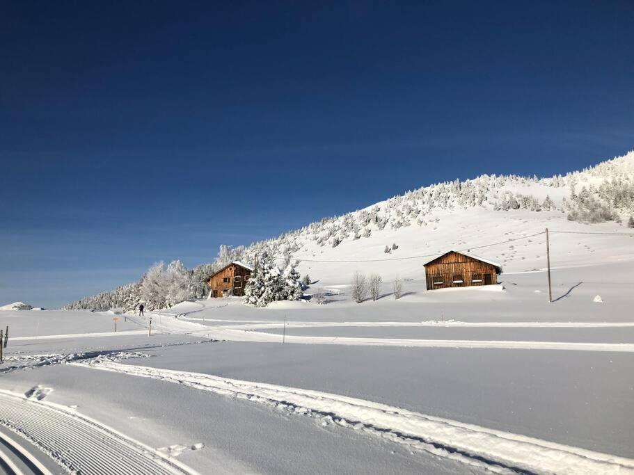 Appartement Au Pays Du Mont-Blanc Саланш Екстериор снимка