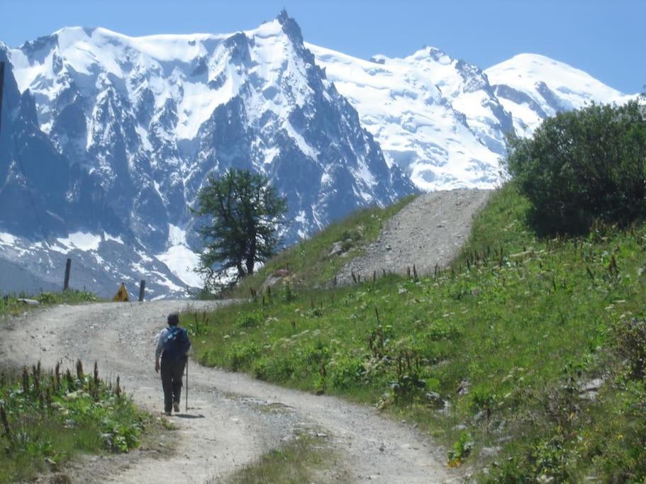 Appartement Au Pays Du Mont-Blanc Саланш Екстериор снимка