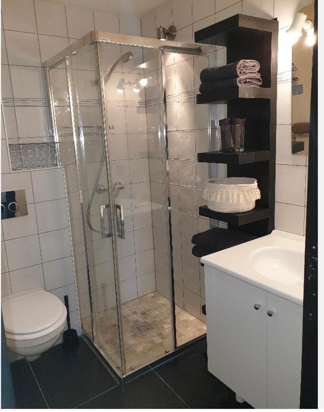 Appartement Au Pays Du Mont-Blanc Саланш Екстериор снимка